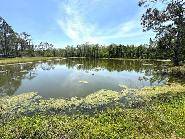 4448 Old Lake Park Rd, Valdosta, GA 31601 - photo 4