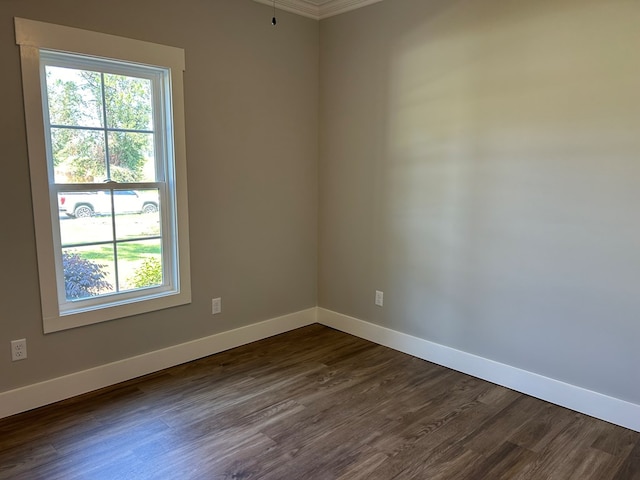 unfurnished room featuring ornamental molding and dark wood-type flooring