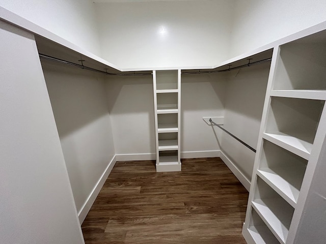 walk in closet with dark hardwood / wood-style floors