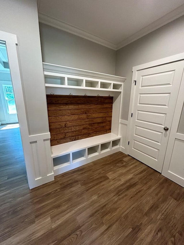 mudroom featuring crown molding and dark wood-type flooring