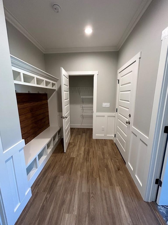 mudroom featuring dark hardwood / wood-style floors and ornamental molding