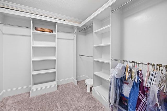 4740 Amelia Cir, Hahira, GA 31632 - walk in closet with carpet