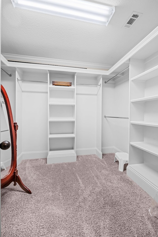 4740 Amelia Cir, Hahira, GA 31632 - spacious closet with carpet flooring