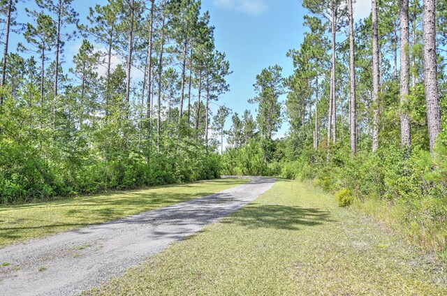 1328 Teeterville Rd, Lakeland, GA 31635 - photo 52