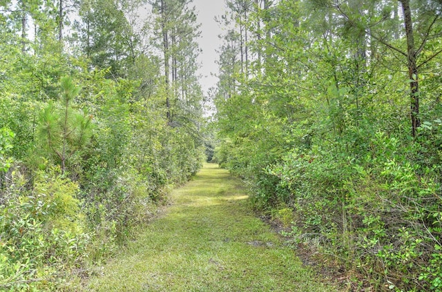 1328 Teeterville Rd, Lakeland, GA 31635 - photo 55