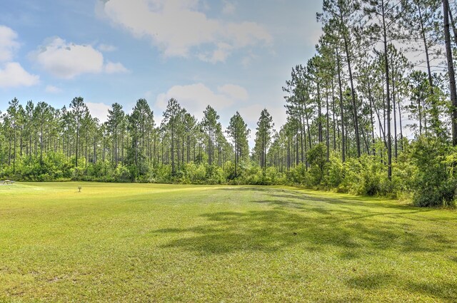 1328 Teeterville Rd, Lakeland, GA 31635 - photo 53
