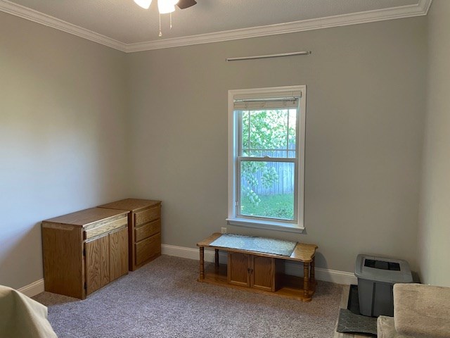 4686 Rudy Way, Hahira, GA 31632 - bedroom with ornamental molding, baseboards, light colored carpet, and a ceiling fan