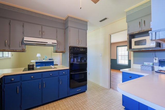 kitchen with black appliances, blue cabinets, and light hardwood / wood-style flooring