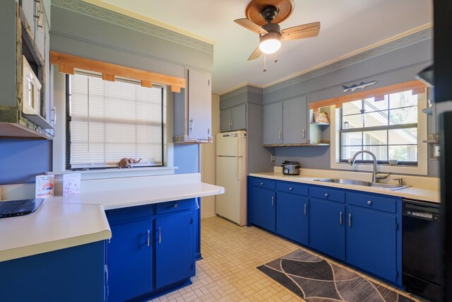 kitchen featuring blue cabinets, sink, ceiling fan, black dishwasher, and white fridge