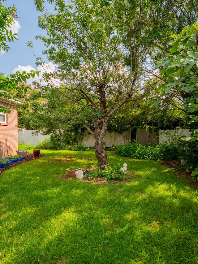 view of yard with fence