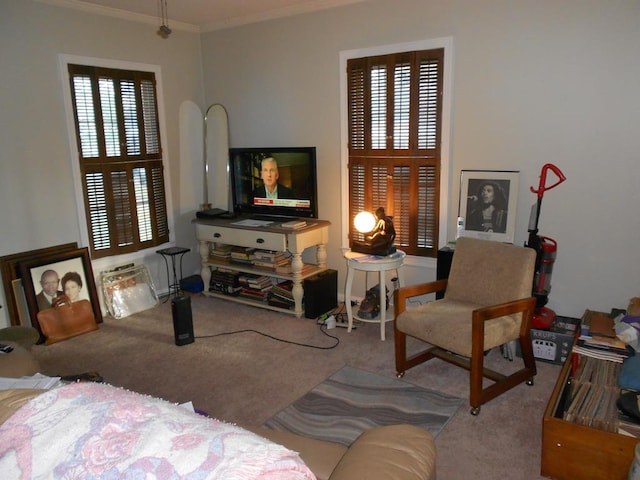 carpeted living room with ornamental molding and a wealth of natural light