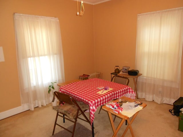 bedroom with baseboards and carpet flooring