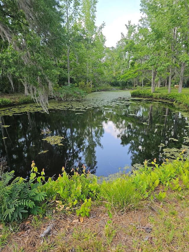 property view of water
