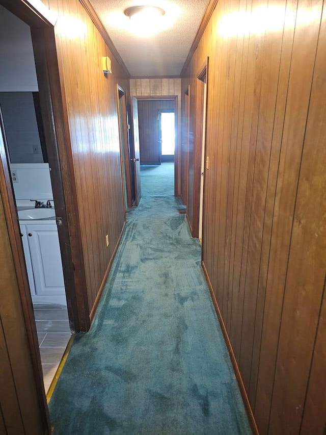hallway with ornamental molding, wood walls, and carpet