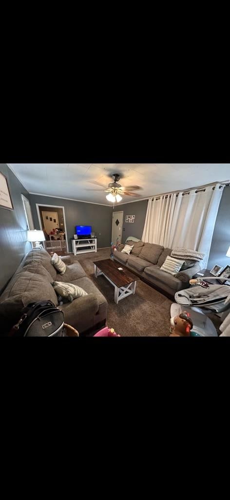 living room with carpet floors and ceiling fan