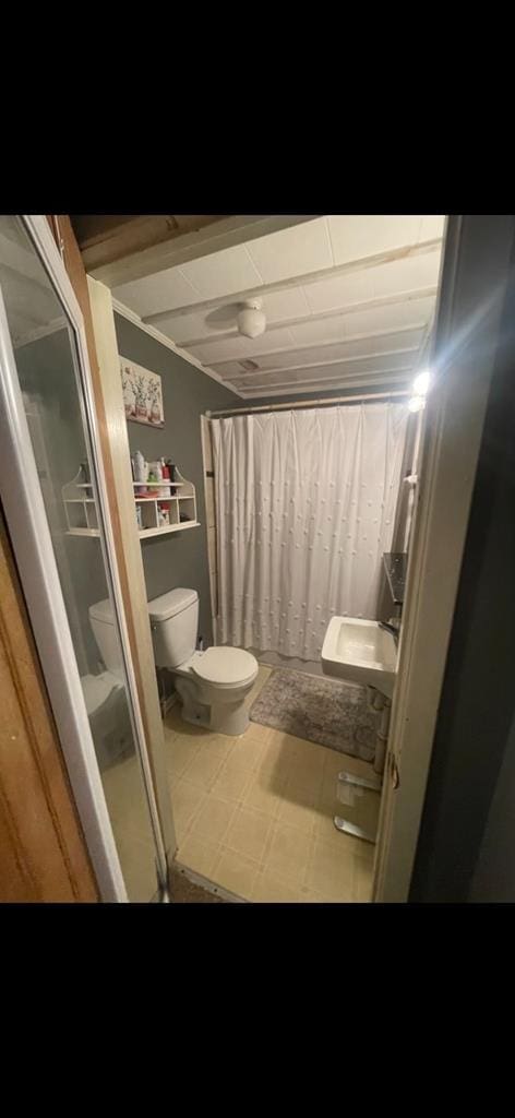 bathroom featuring a shower with curtain and toilet