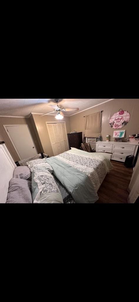 bedroom with hardwood / wood-style flooring and ceiling fan