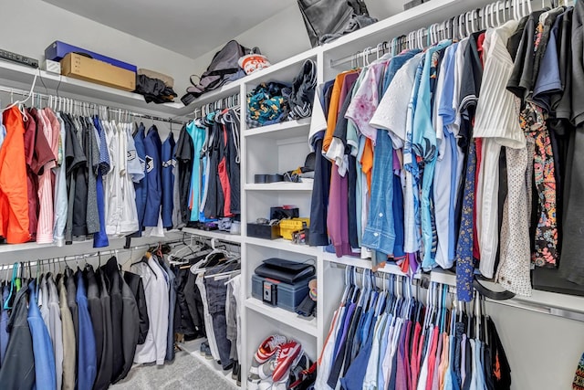 spacious closet featuring carpet