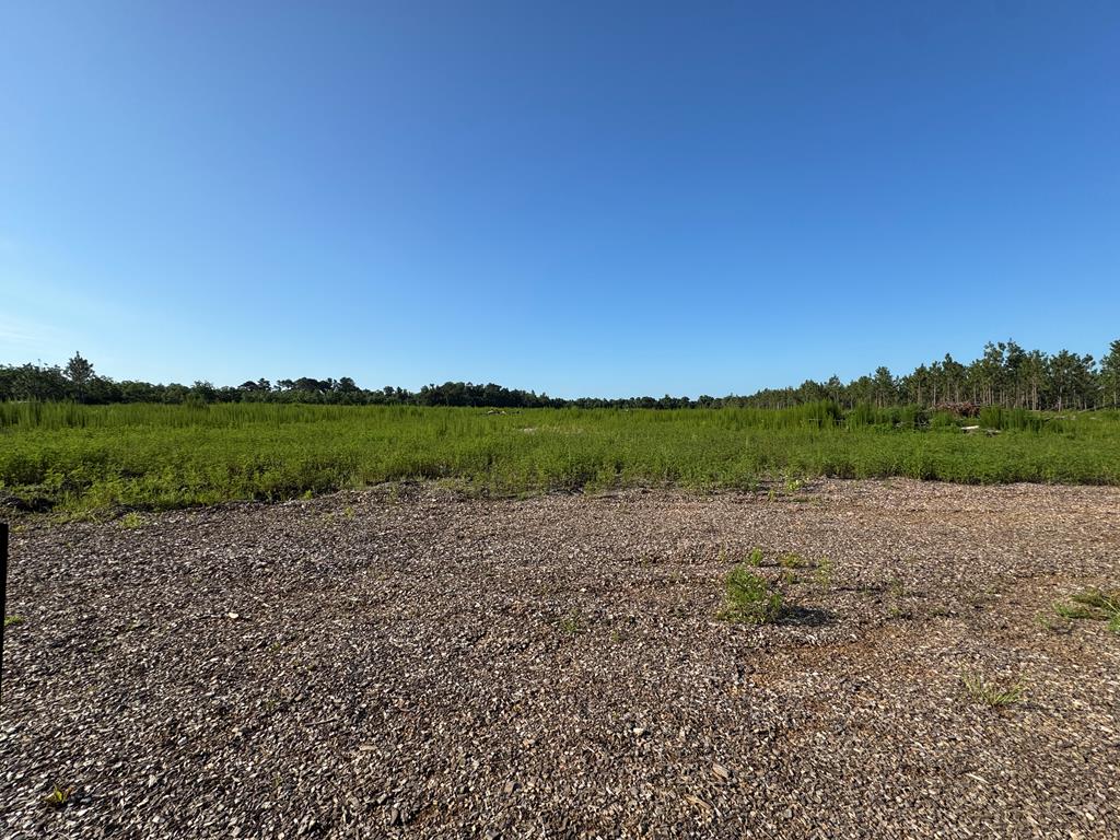 TRACT2 Hall Webb Rd, Hahira, GA 31632 - photo 1
