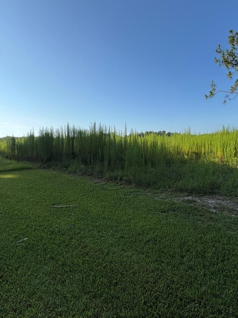 TRACT2 Hall Webb Rd, Hahira, GA 31632 - photo 3