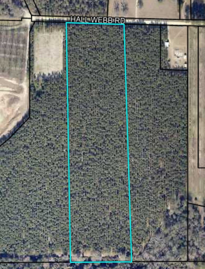 TRACT2 Hall Webb Rd, Hahira, GA 31632 - photo 2