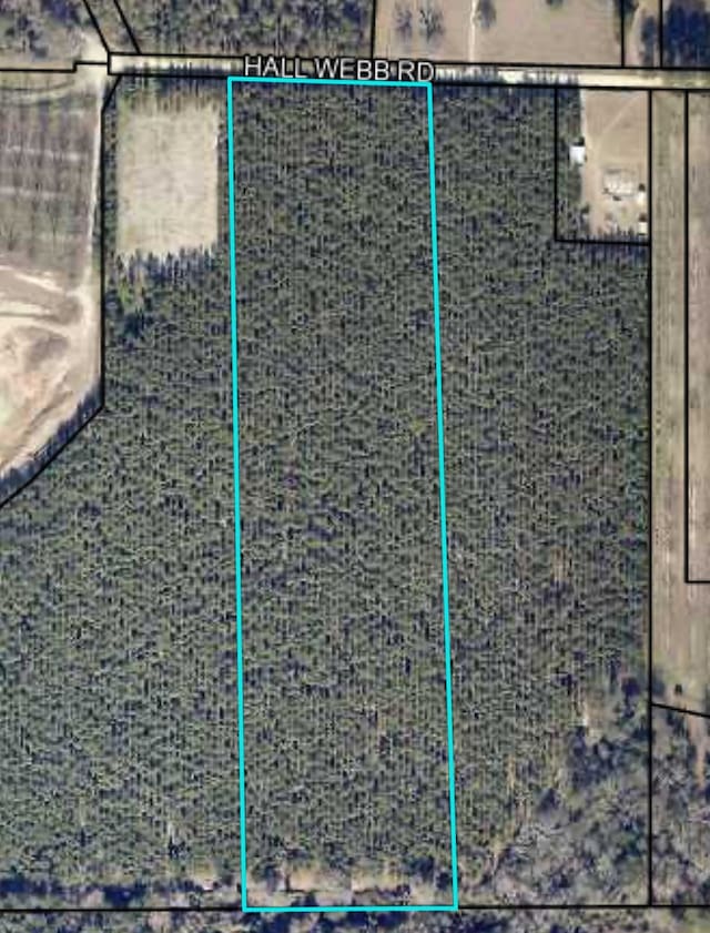 TRACT2 Hall Webb Rd, Hahira, GA 31632 - photo 2