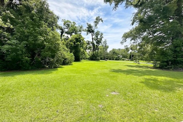 410 Floyd St, Valdosta, GA 31601 - photo 2