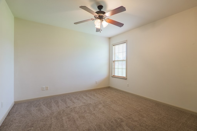 34 Palmetto Pines Ln, Ray City, GA 31645 - photo 18