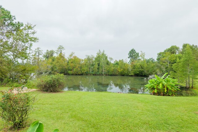 view of water feature