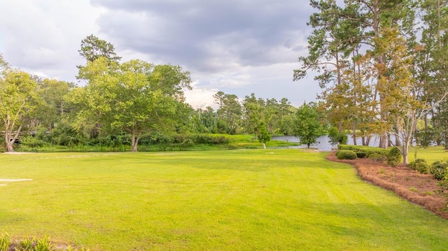 1001 Cherry Creek Dr, Valdosta, GA 31605 - photo 12