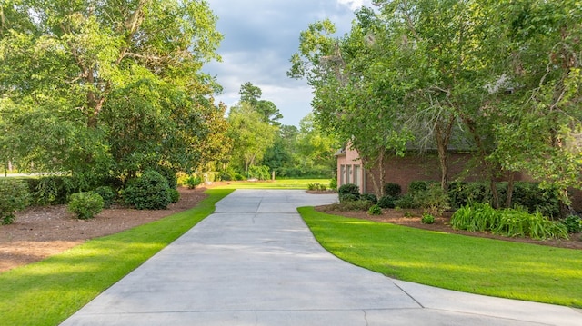 1001 Cherry Creek Dr, Valdosta, GA 31605 - photo 10