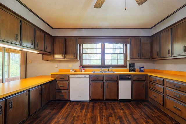 kitchen featuring a sink, dark wood-style flooring, light countertops, and white dishwasher