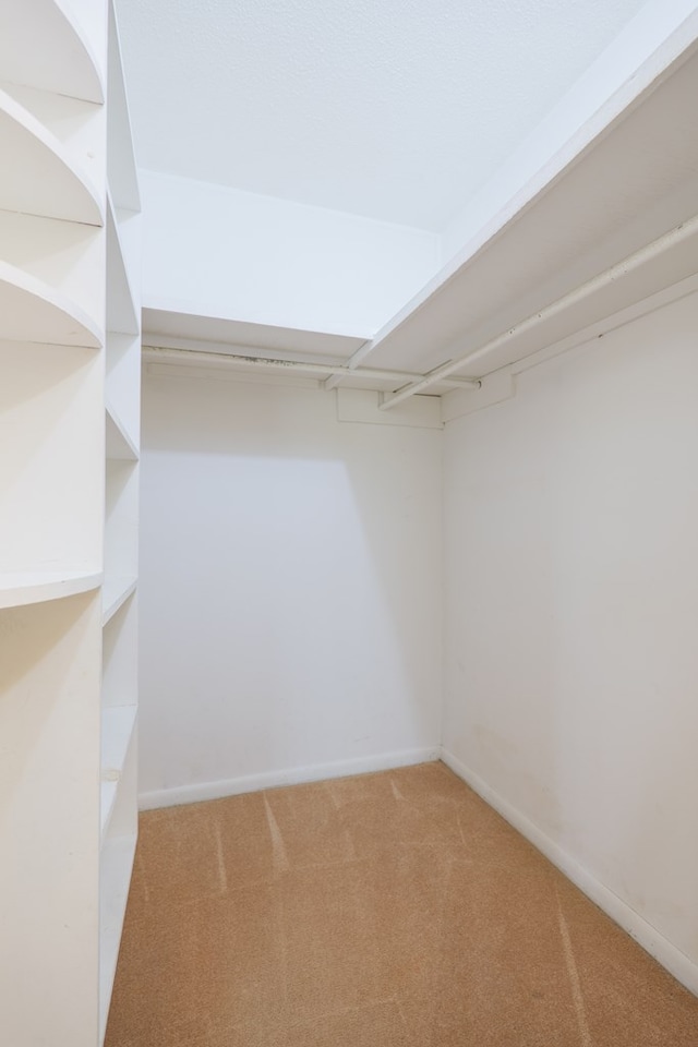 walk in closet with light colored carpet