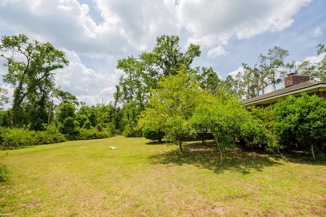 view of yard