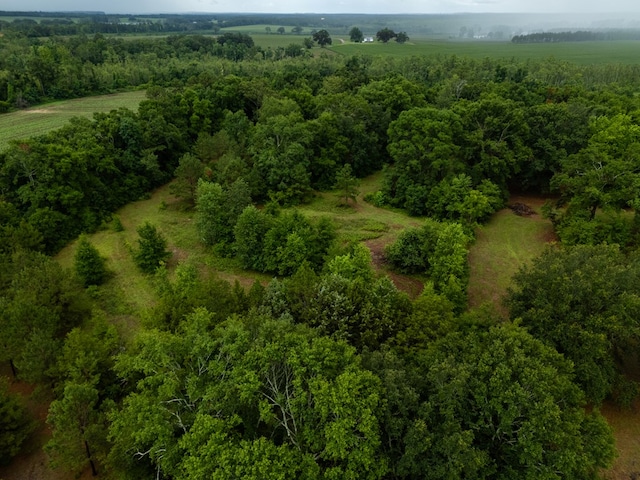 2385 Hickory Head Rd, Quitman, GA 31643