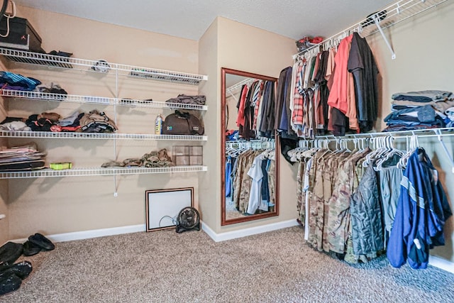 spacious closet with carpet flooring
