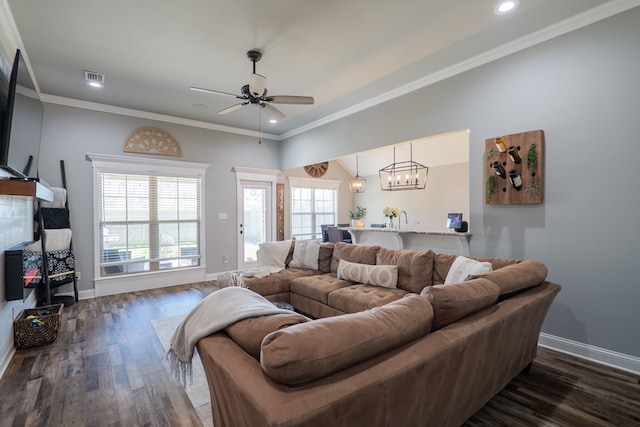 living room with a wealth of natural light, visible vents, dark wood-type flooring, and crown molding