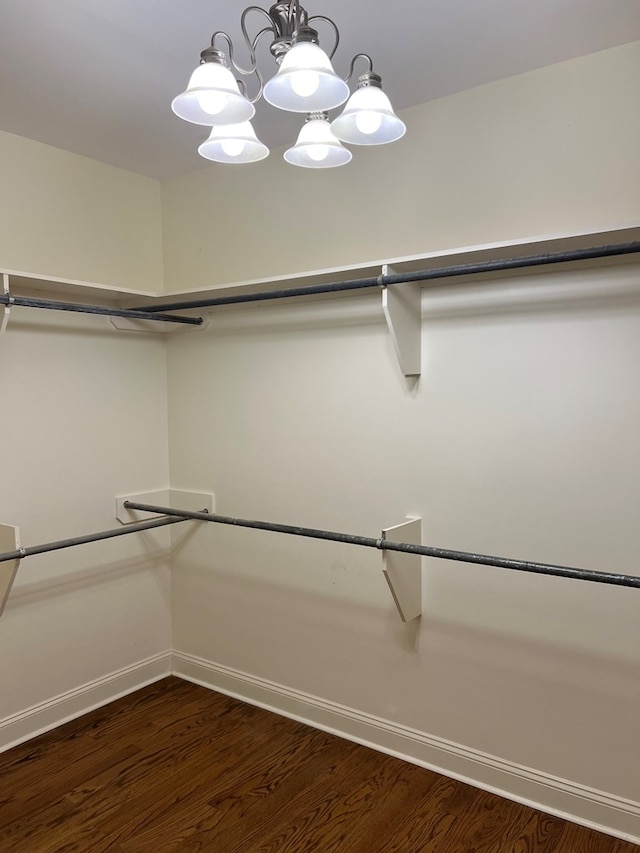 spacious closet with a notable chandelier and dark hardwood / wood-style floors