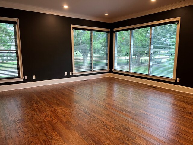 empty room featuring hardwood / wood-style floors and plenty of natural light