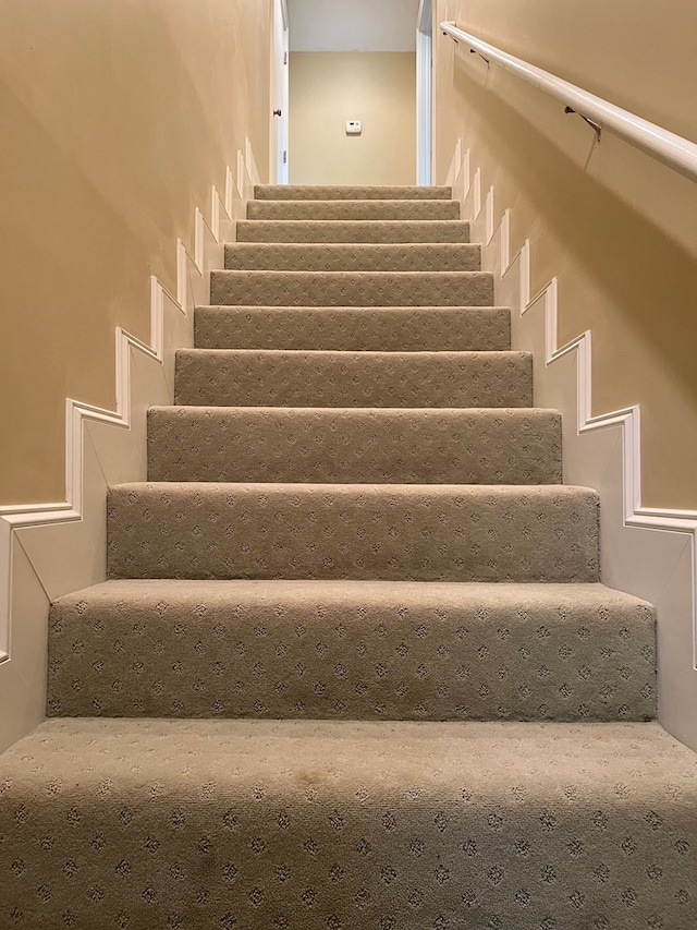 stairs with carpet flooring