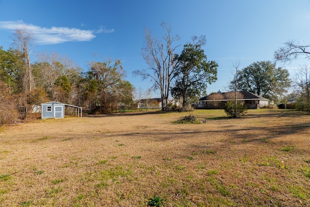 view of yard featuring a storage unit