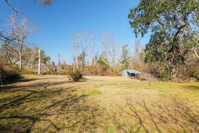 view of yard