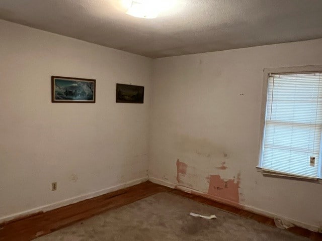 spare room featuring a wealth of natural light and wood-type flooring