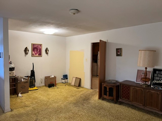 interior space featuring carpet flooring