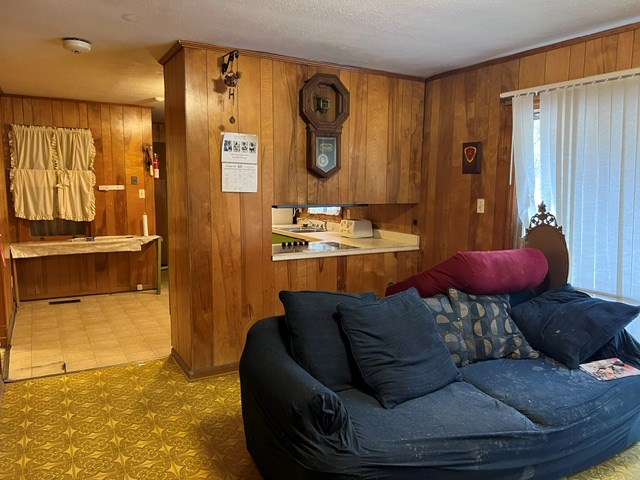 living room featuring wood walls and a textured ceiling