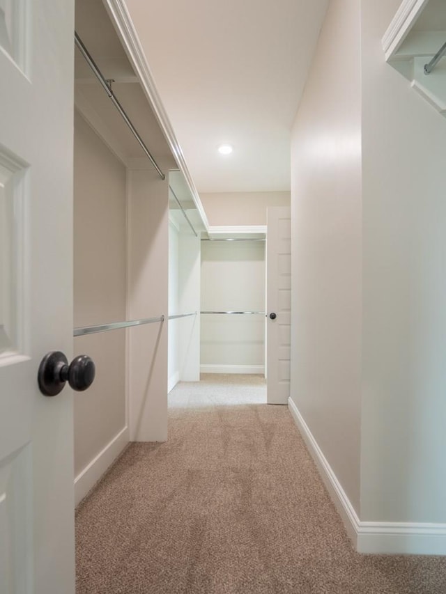 walk in closet featuring light colored carpet