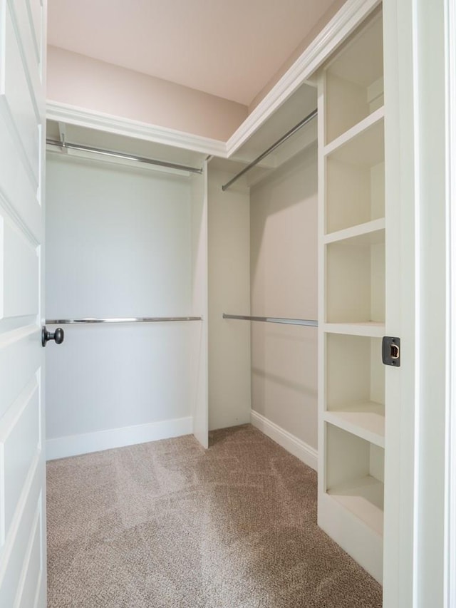 walk in closet featuring carpet floors