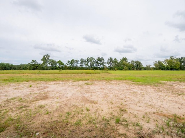 view of landscape with a rural view