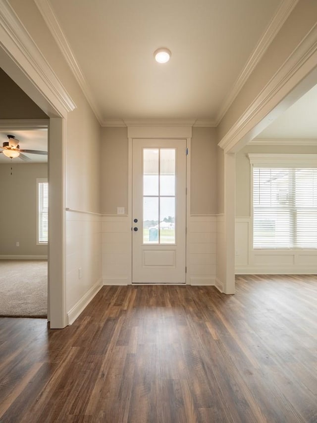 doorway featuring ceiling fan, dark hardwood / wood-style floors, and ornamental molding