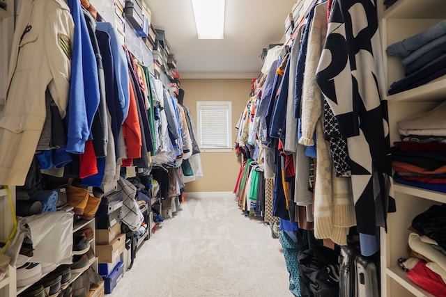 walk in closet featuring carpet